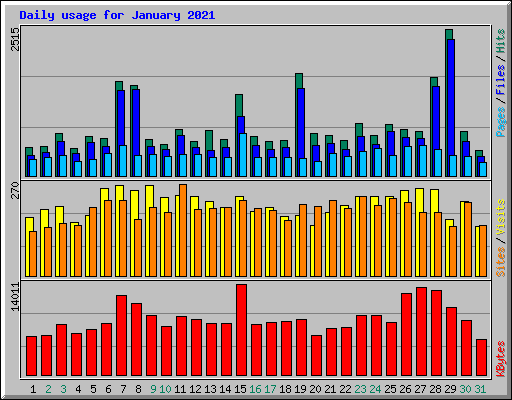 Daily usage for January 2021