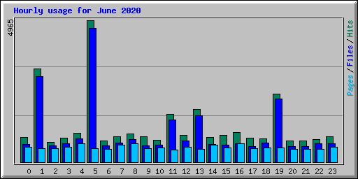 Hourly usage for June 2020
