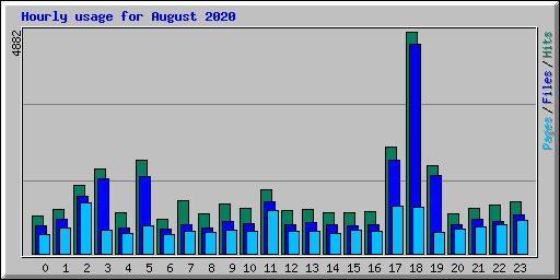 Hourly usage for August 2020