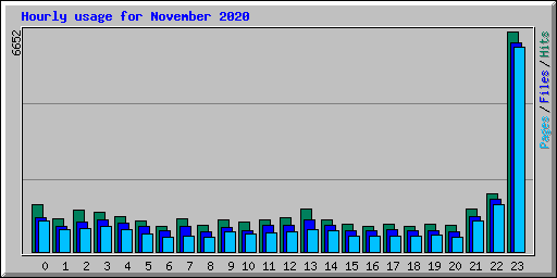 Hourly usage for November 2020