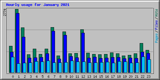 Hourly usage for January 2021