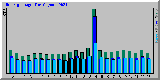 Hourly usage for August 2021