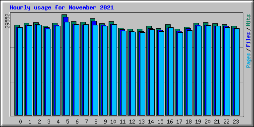 Hourly usage for November 2021