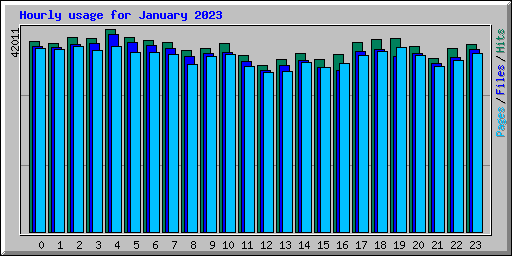 Hourly usage for January 2023