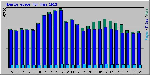 Hourly usage for May 2025