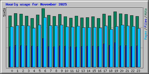 Hourly usage for November 2025