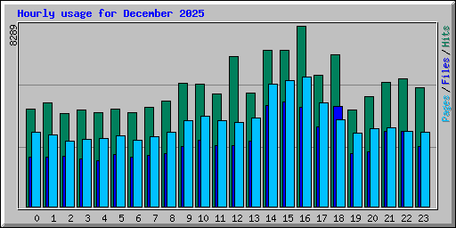 Hourly usage for December 2025